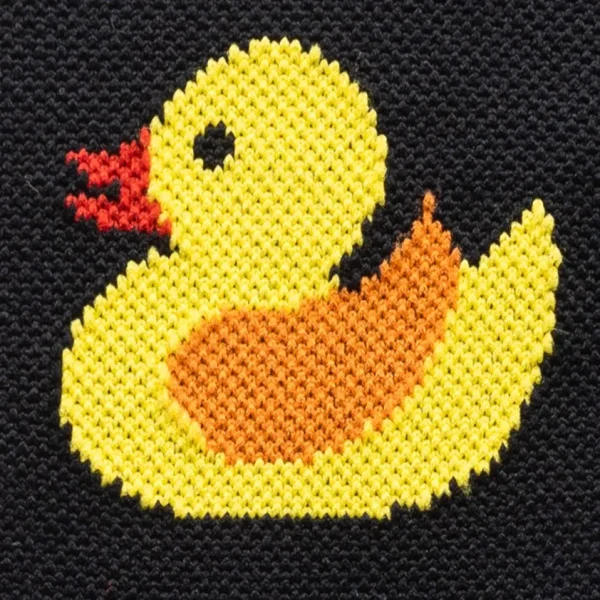 Chun the Duck