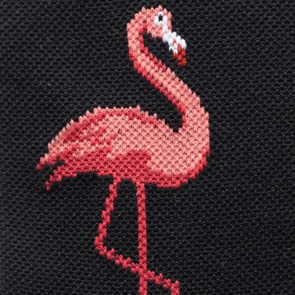 Rosa the Flamingo