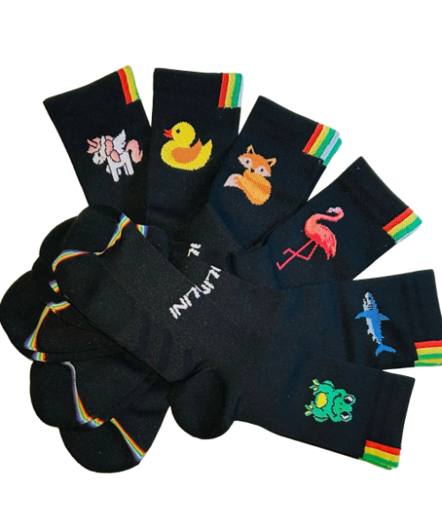 socks_t
