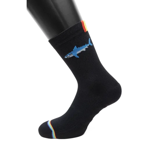 Rainbows_no-markings_0039