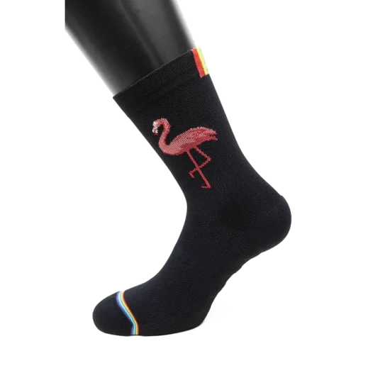 Rainbows_no-markings_0120