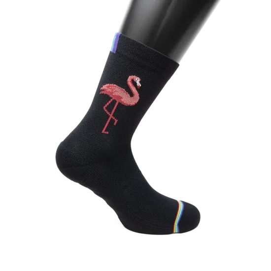 Rainbows_no-markings_0139