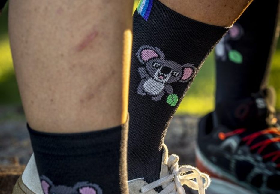 Rainbows_Koala_Aus_2025_19